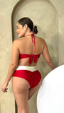 Bikini  Dalia panty alto  #485